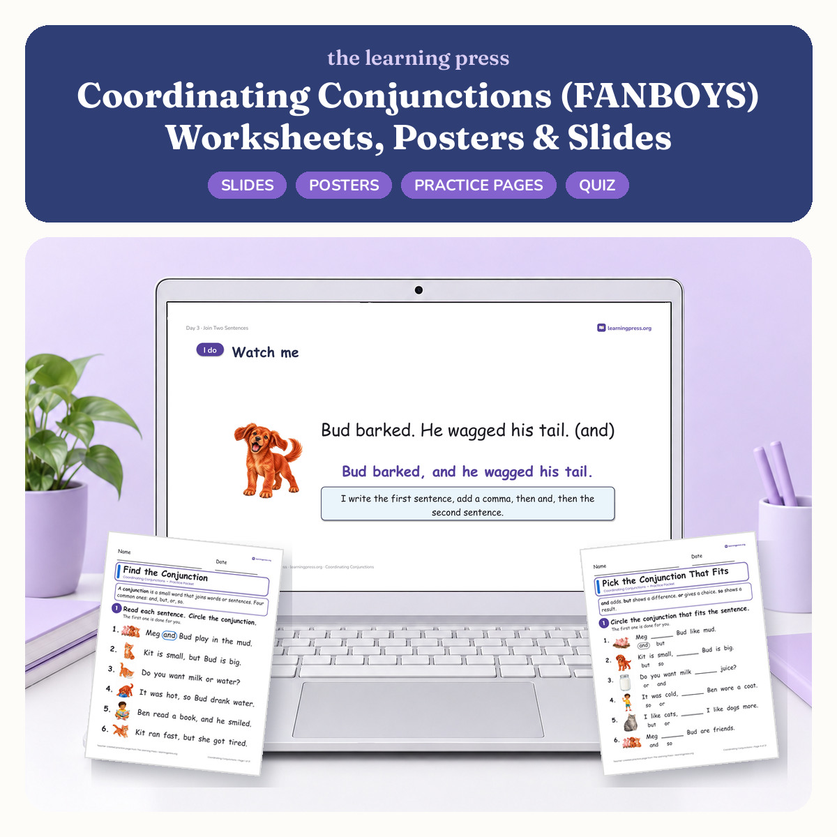 Preview of Coordinating Conjunctions (FANBOYS) Worksheets, Posters & Slides