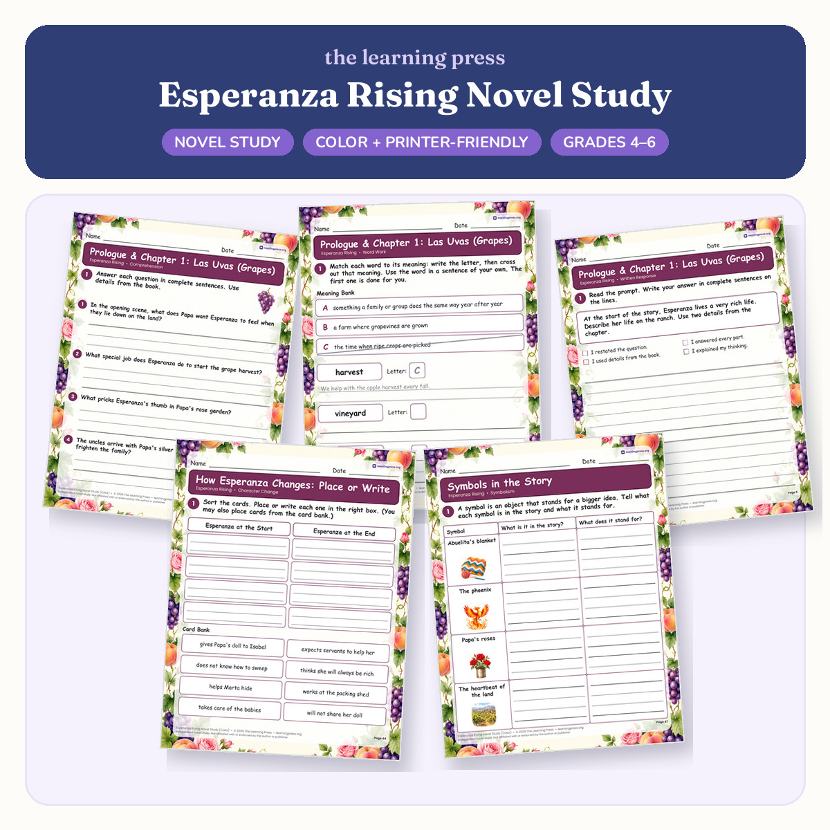 Preview of Esperanza Rising Novel Study · Chapter Questions, Vocabulary & Activities