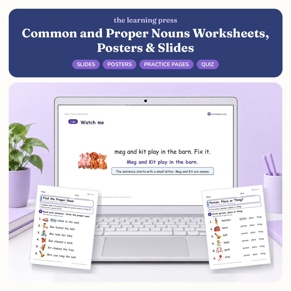 Preview of Common and Proper Nouns Worksheets, Posters & Slides