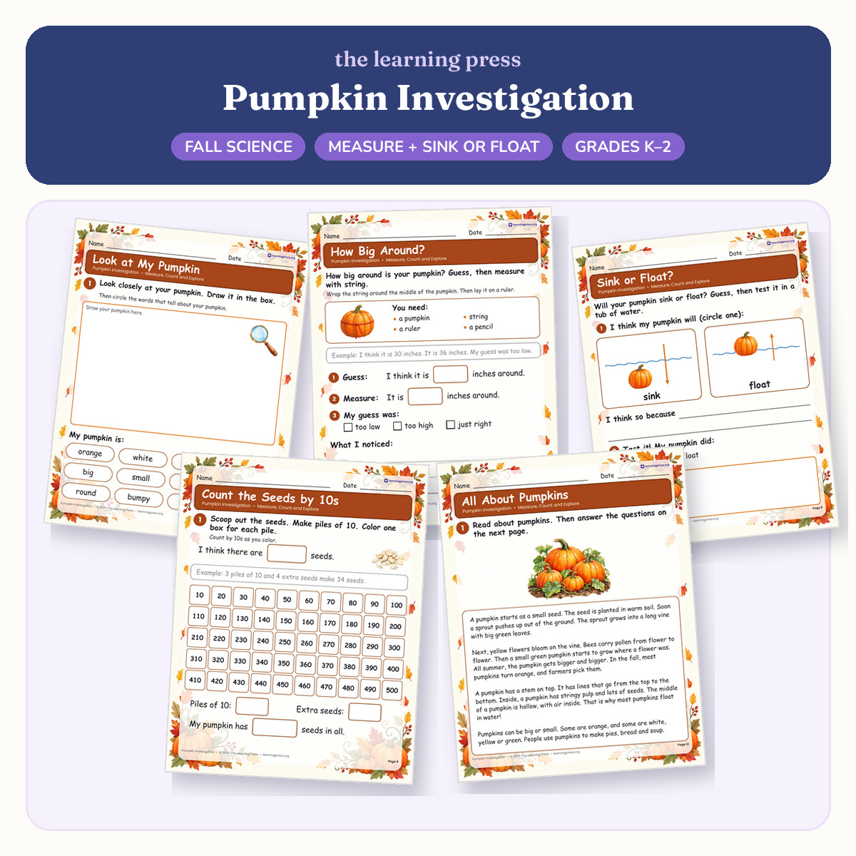 Preview of Pumpkin Investigation · Measure, Sink or Float, Seeds & Life Cycle