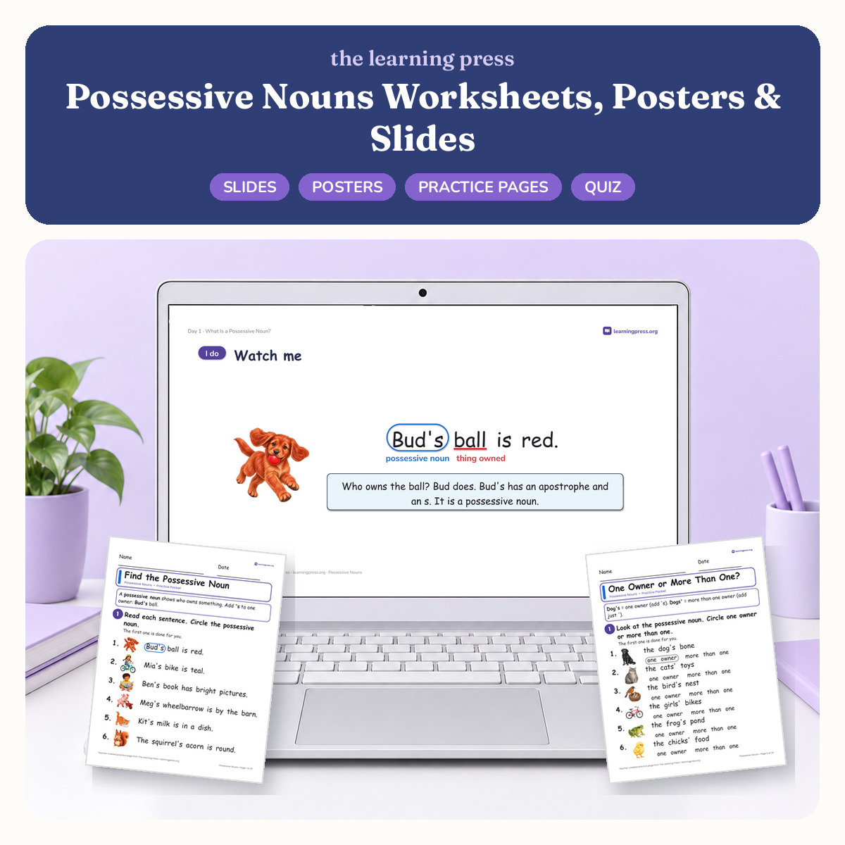 Preview of Possessive Nouns Worksheets, Posters & Slides
