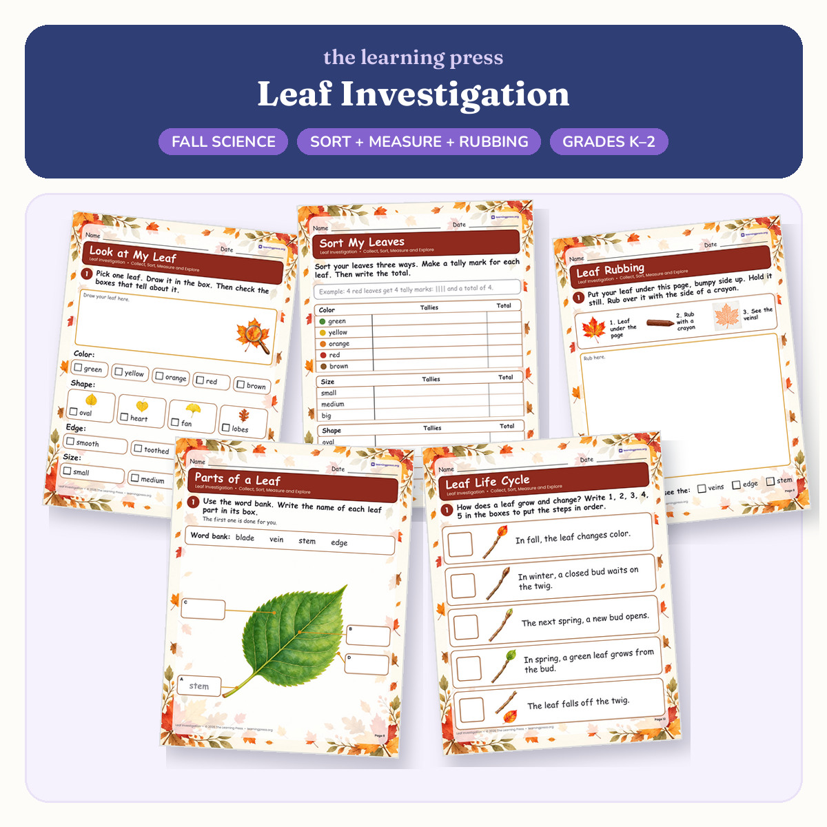 Preview of Leaf Investigation · Sort, Measure, Leaf Rubbing & Parts of a Leaf