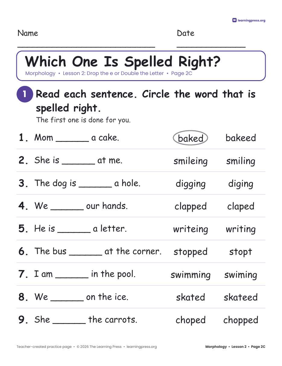 Preview page 3 of Grade 3 Morphology Unit 1: Word Parts, Drop e, Double, y to i · Slides + Pages