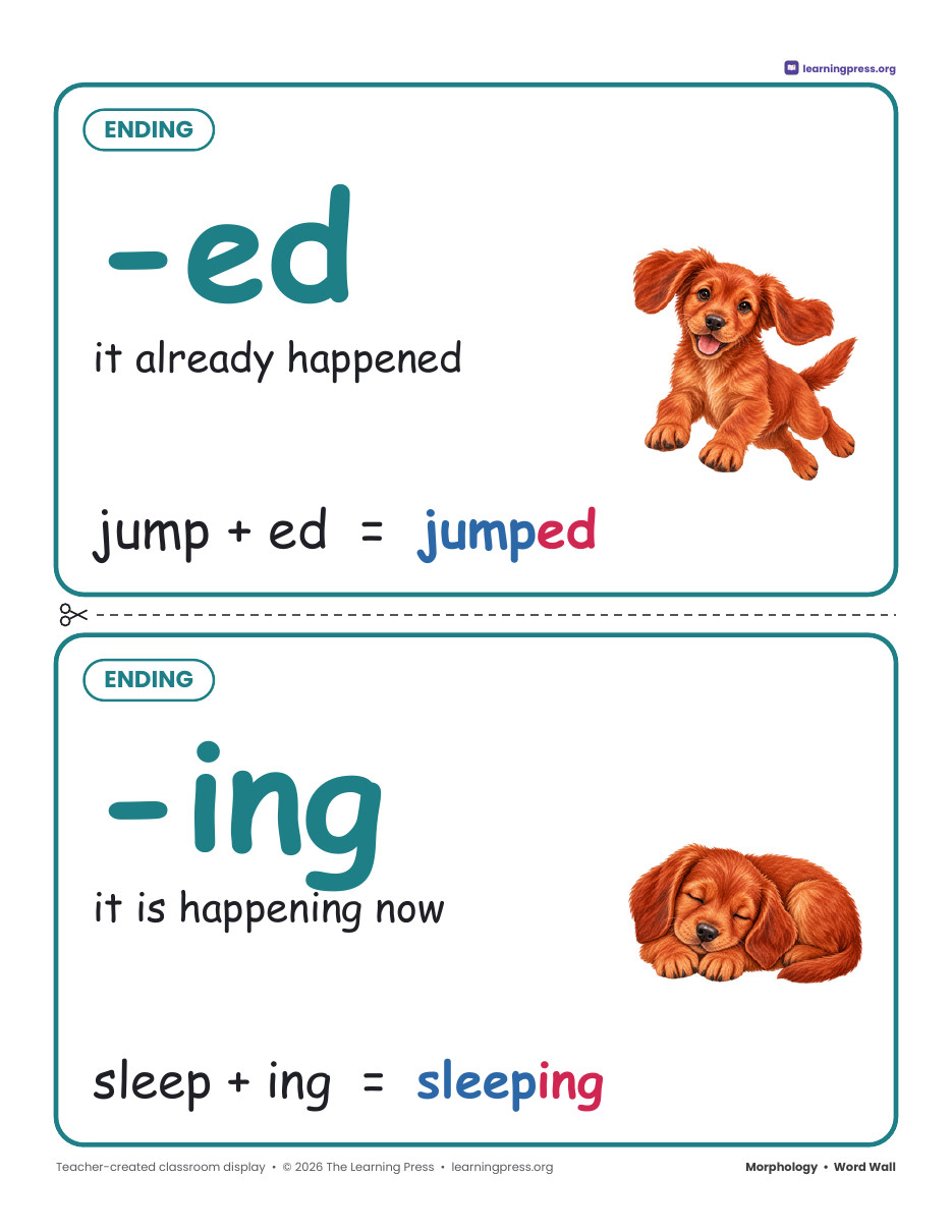 Preview page 2 of Grade 2 Morphology Word Wall · Prefix, Suffix & Ending Cards