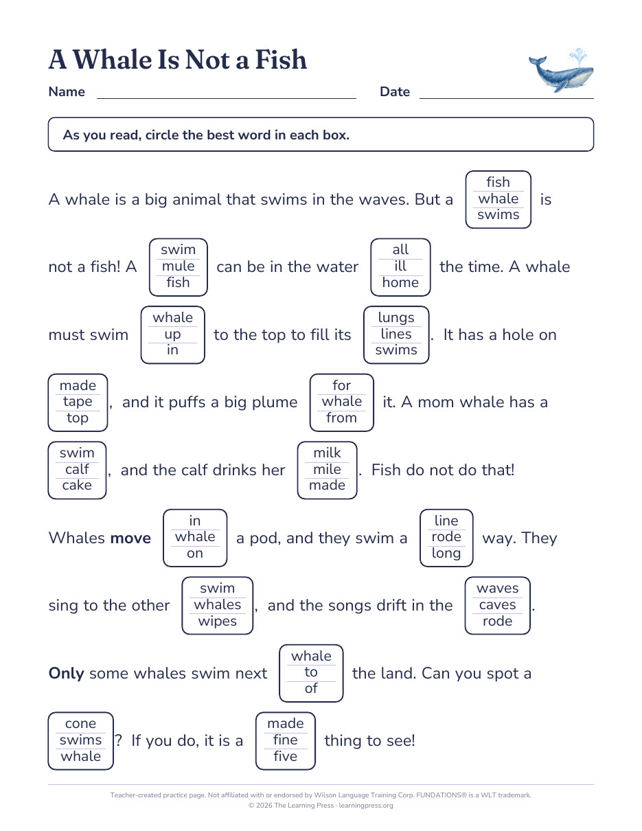 Preview page 2 of Fundations®-Aligned Maze Passages · Level 2 Unit 6