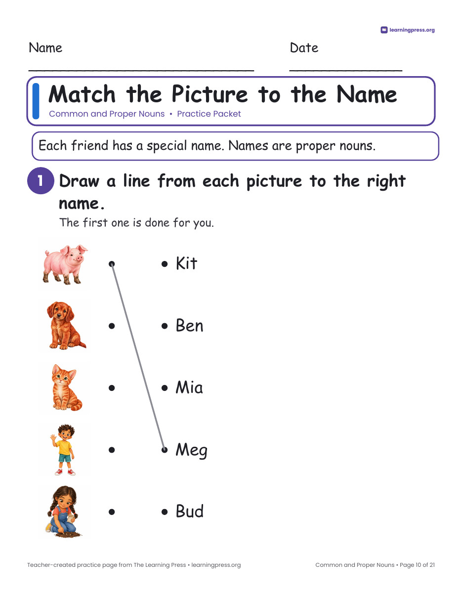 Preview page 3 of Common and Proper Nouns Worksheets, Posters & Slides