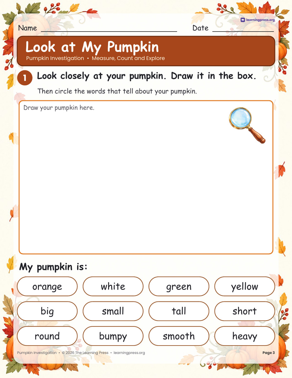 Preview page 1 of Pumpkin Investigation · Measure, Sink or Float, Seeds & Life Cycle