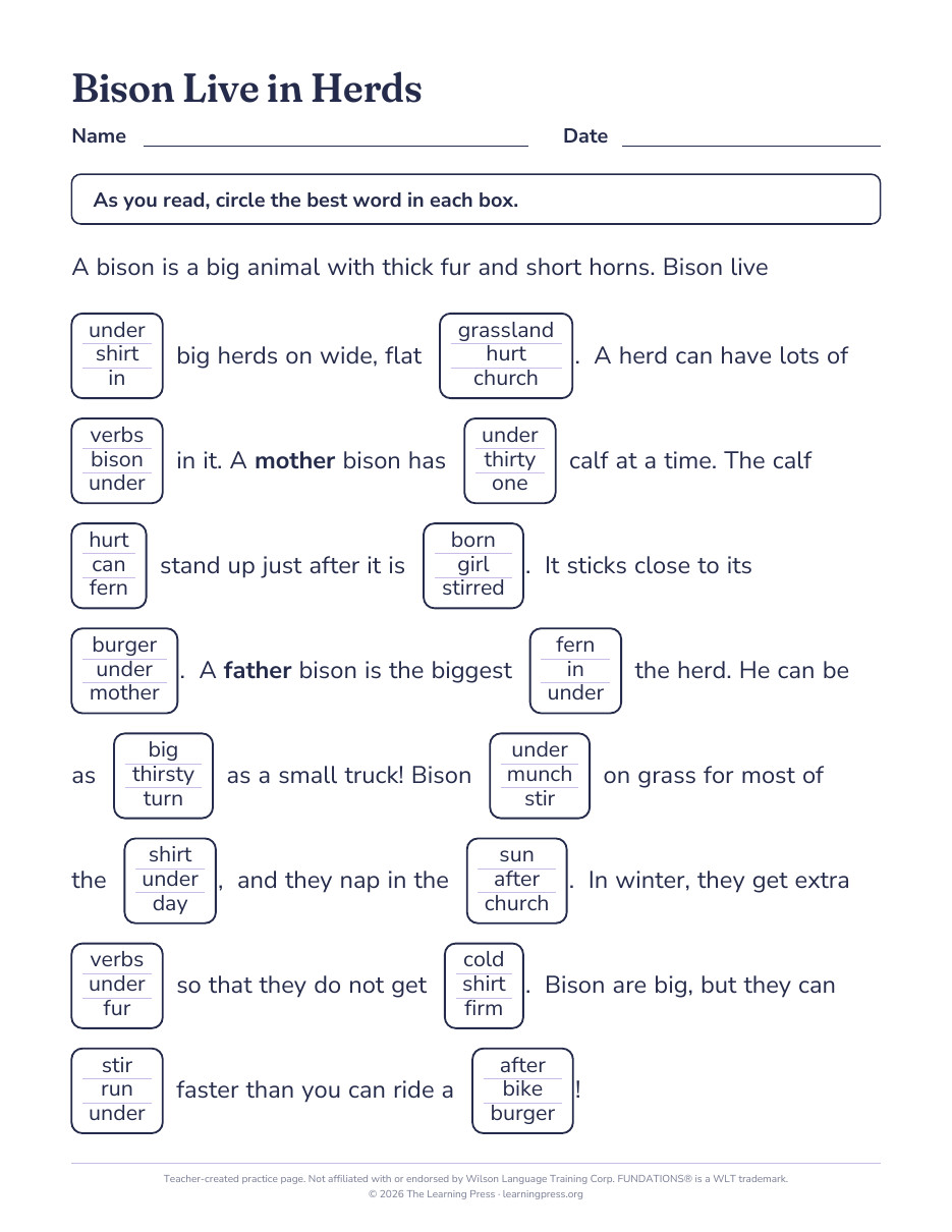 Preview page 4 of Fundations®-Aligned Maze Passages · Level 2 Unit 9