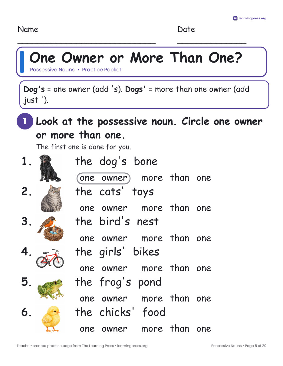 Preview page 2 of Possessive Nouns Worksheets, Posters & Slides