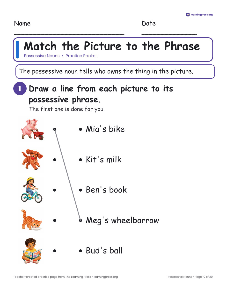 Preview page 3 of Possessive Nouns Worksheets, Posters & Slides