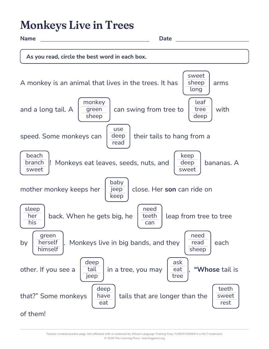 Preview page 2 of Fundations®-Aligned Maze Passages · Level 2 Unit 11