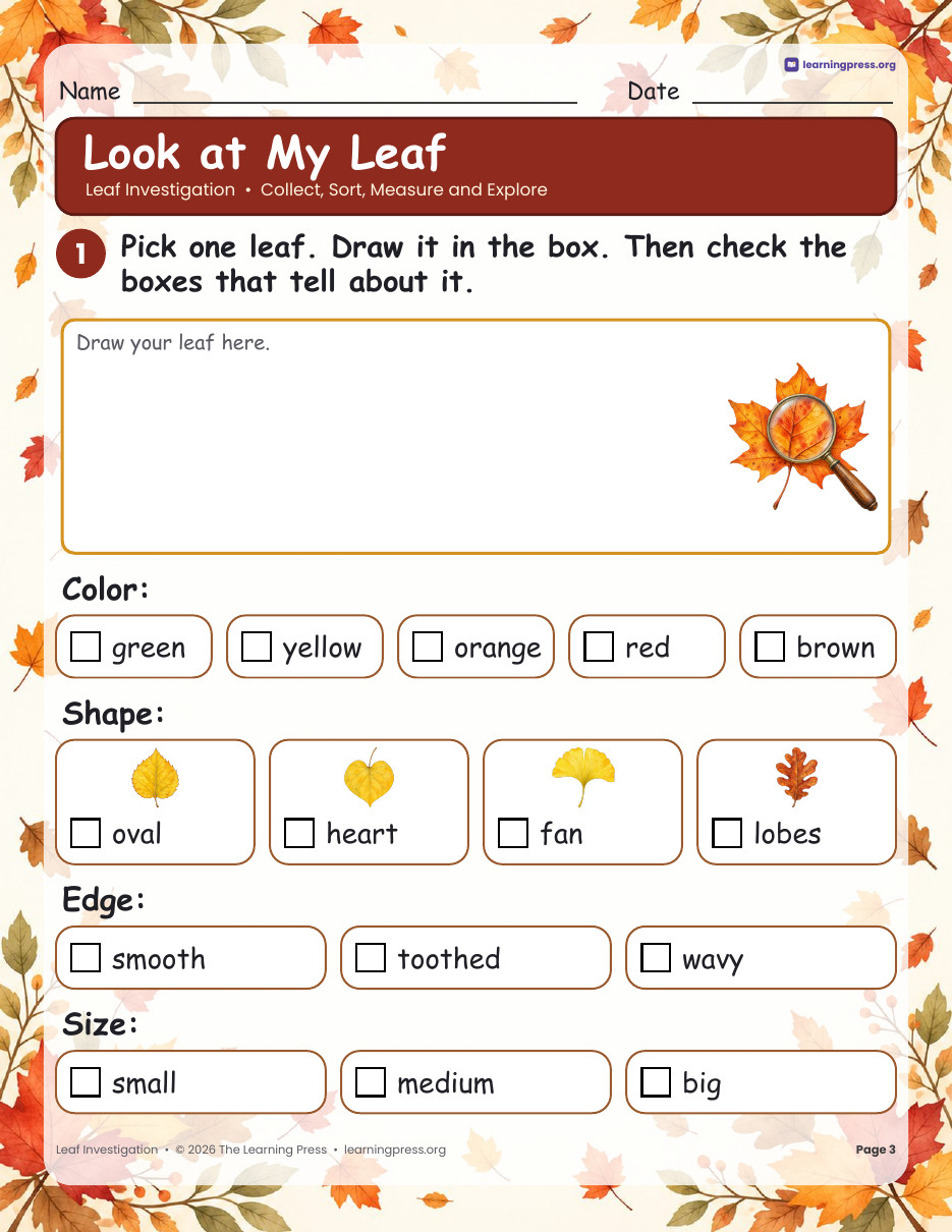 Preview page 1 of Leaf Investigation · Sort, Measure, Leaf Rubbing & Parts of a Leaf