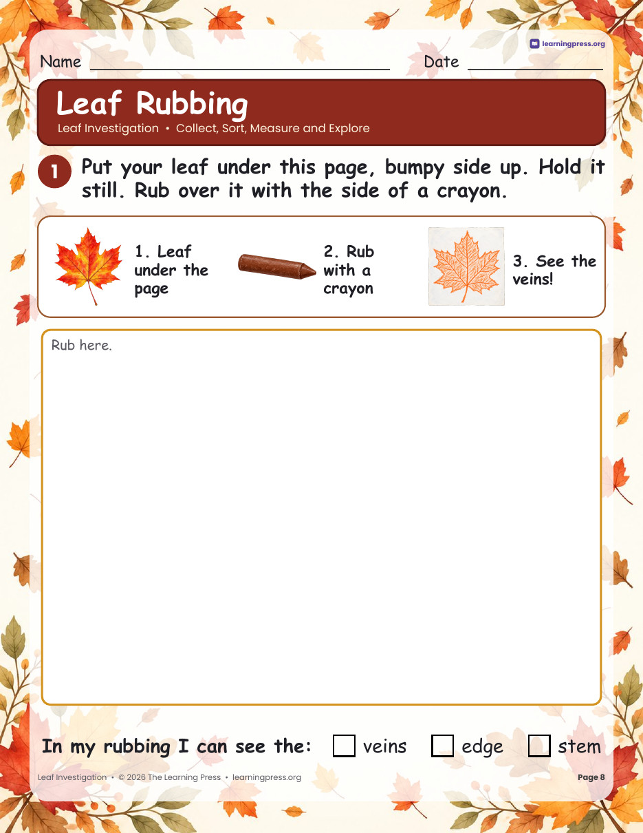 Preview page 3 of Leaf Investigation · Sort, Measure, Leaf Rubbing & Parts of a Leaf