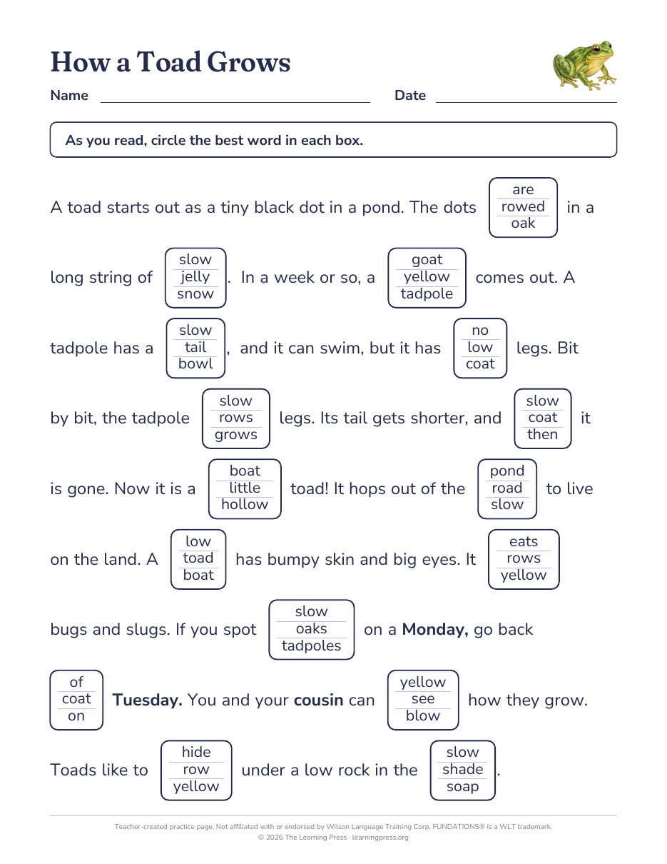 Preview page 2 of Fundations®-Aligned Maze Passages · Level 2 Unit 13